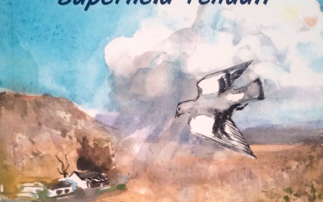 Koerie: Superheld-renduif